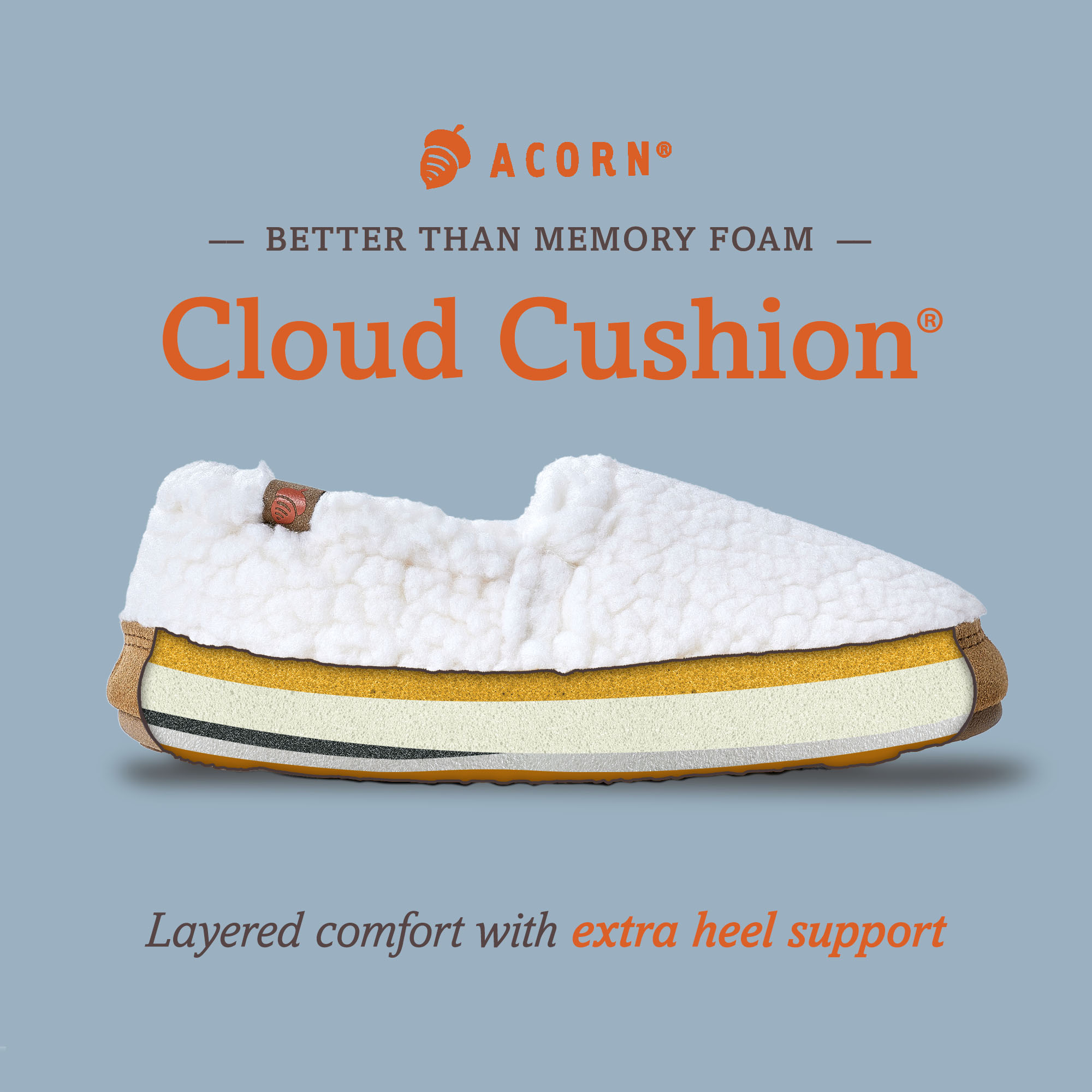 Acorn could cushion Infographic