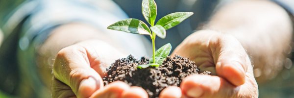 Top 5 Ways to Celebrate Earth Day!