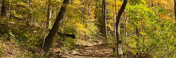 Brandywine Falls Trail at Ledges Trail at Cuyahoga Valley National Park