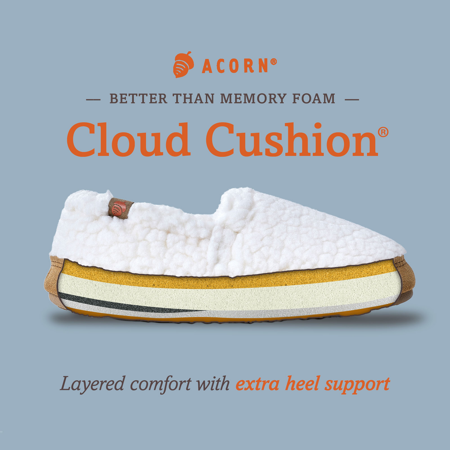 Acorn could cushion Infographic 